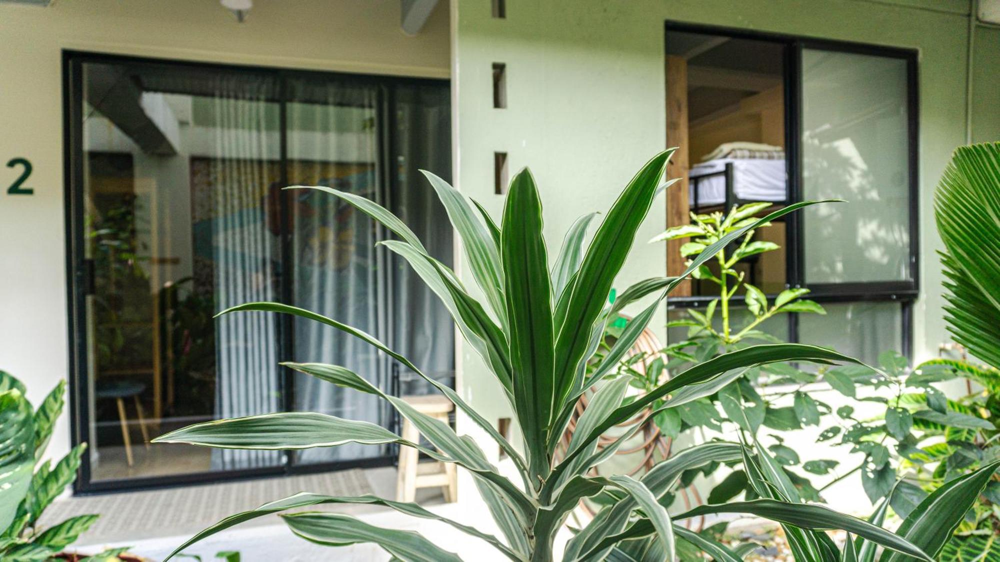 Selva House Medellín Exterior foto
